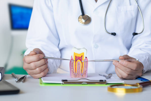 Best Emergency Treatment for Dental Infections or Abscesses in Cascade Chipita Park, CO